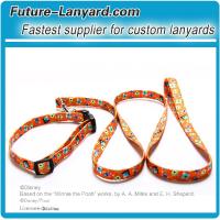 Fashion customized OEM pet leash for animals